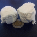 3D printed meina head